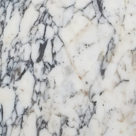 Calacatta Viola Marble Tile 12x12 - Luxury Wall & Floor Tile